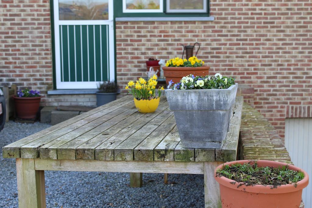 B&B De Vroling Wellen Exterior foto